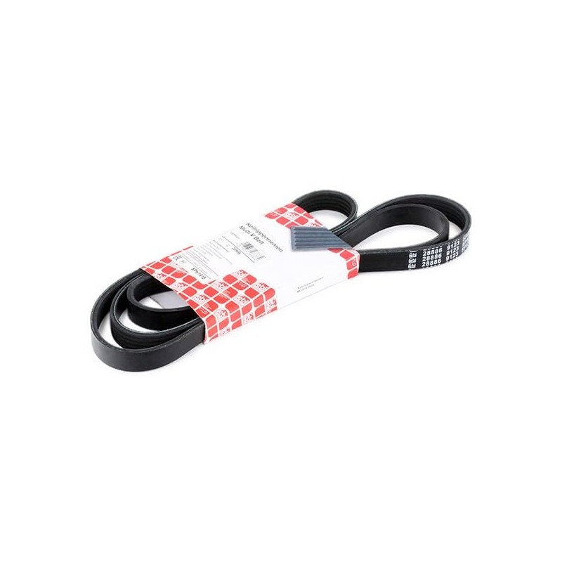febi bilstein 28886 V-Ribbed Belt, Number of Ribs 5, Pack