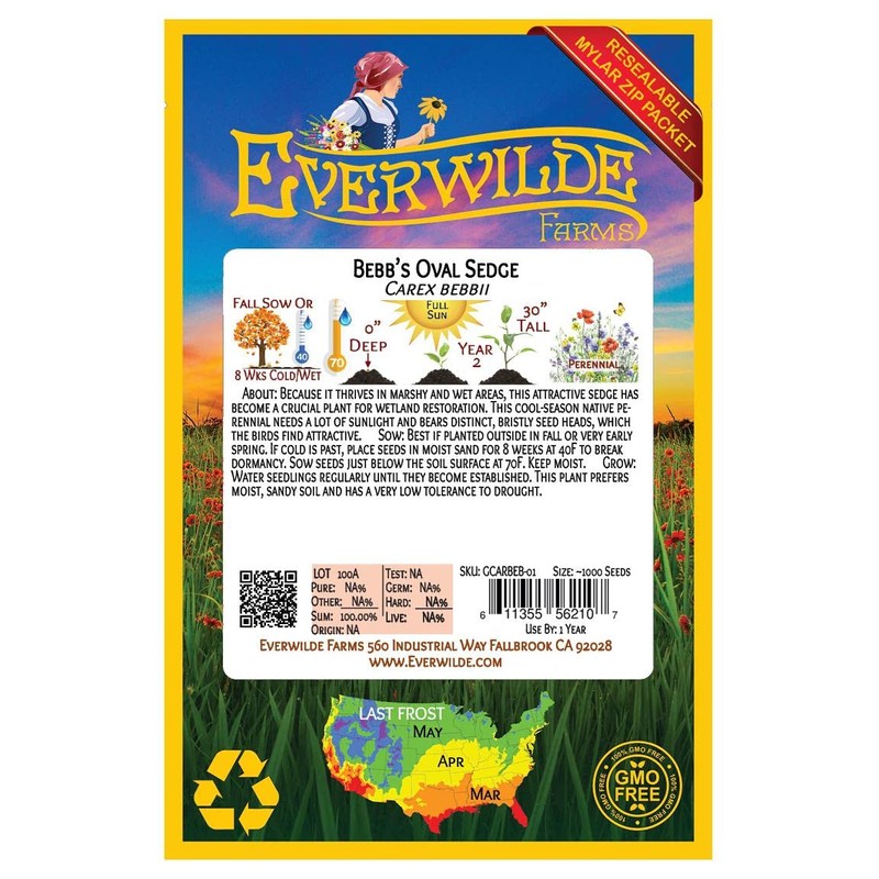 Everwilde Farms - 250 Bebb's Oval Sedge Native Grass Seeds