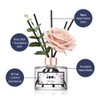 396 st. Rose Flower Reed Diffuser, Red Rose(Also Known as