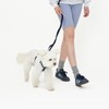 PETHROOM [Pestroom] No-Touch Cushion H Harness + Anti-Shock Manner Leash