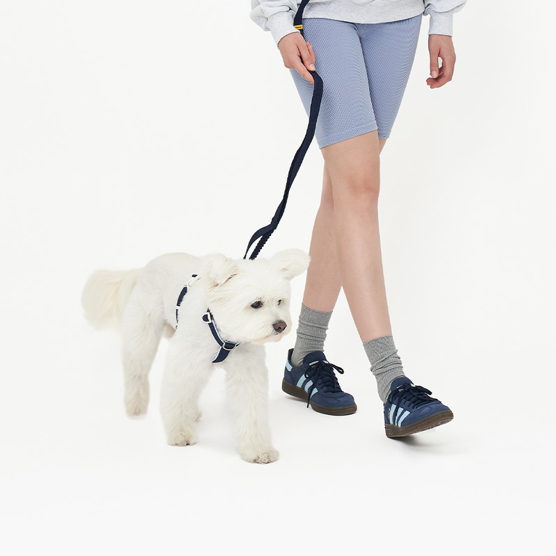PETHROOM [Pestroom] No-Touch Cushion H Harness + Anti-Shock Manner Leash