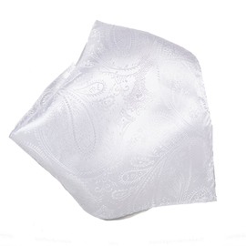 Vesuvio Napoli White Paisley Design Men's Hankerchief Pocket Square Hanky Men's Handkerchiefs