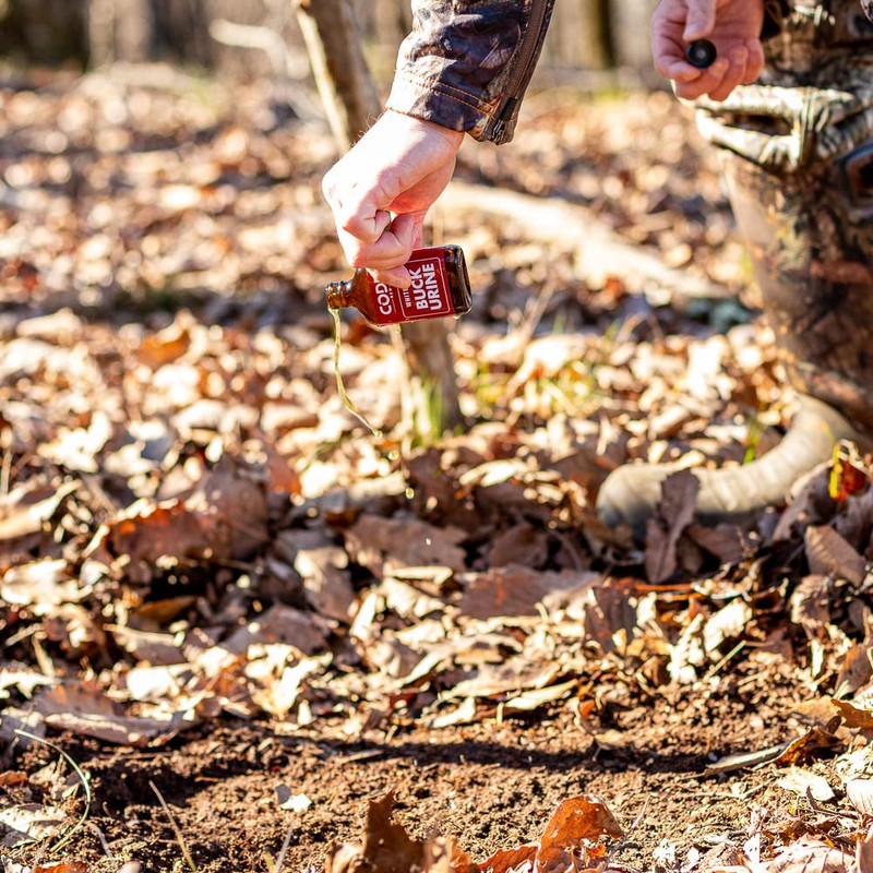 Code Blue Code Red Whitetail Buck Urine , 2 oz