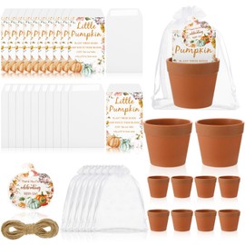 Ctosree 50 Sets Fall Baby Shower Seed Packet for Guests a Little Pumpkin is on The Way Gifts Include Self Adhesive Seed Packets Flowerpot Thank You Tags Organza Gift Bags for Baby Shower Party Favors