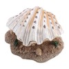 Pssopp Shell Pearl Bubbler Decor Aquarium Foldable Shell Fish Shrimp