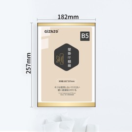Diploma Frame B5 Wall Hanging Picture Frame for Certificates, Magnetic Acrylic Display Frame, Colored Paper Frame Replacement Art Panel, Rewards, Resin Frame, Vertical and Horizontal, Durable