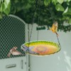 NASSNAT Hanging Bird Baths Outdoor Glass Birdbaths Garden Bird Feeder