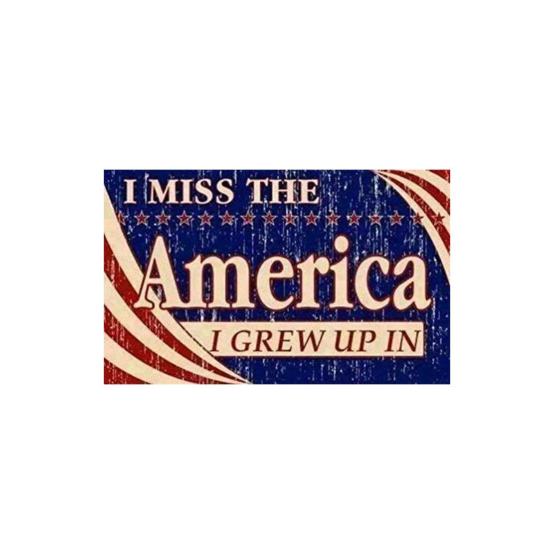 Lenrius I Miss The America I Grew Up in Tool