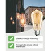 Dusk to Dawn Edison Light Bulbs ST19, Vintage Amber Glass,