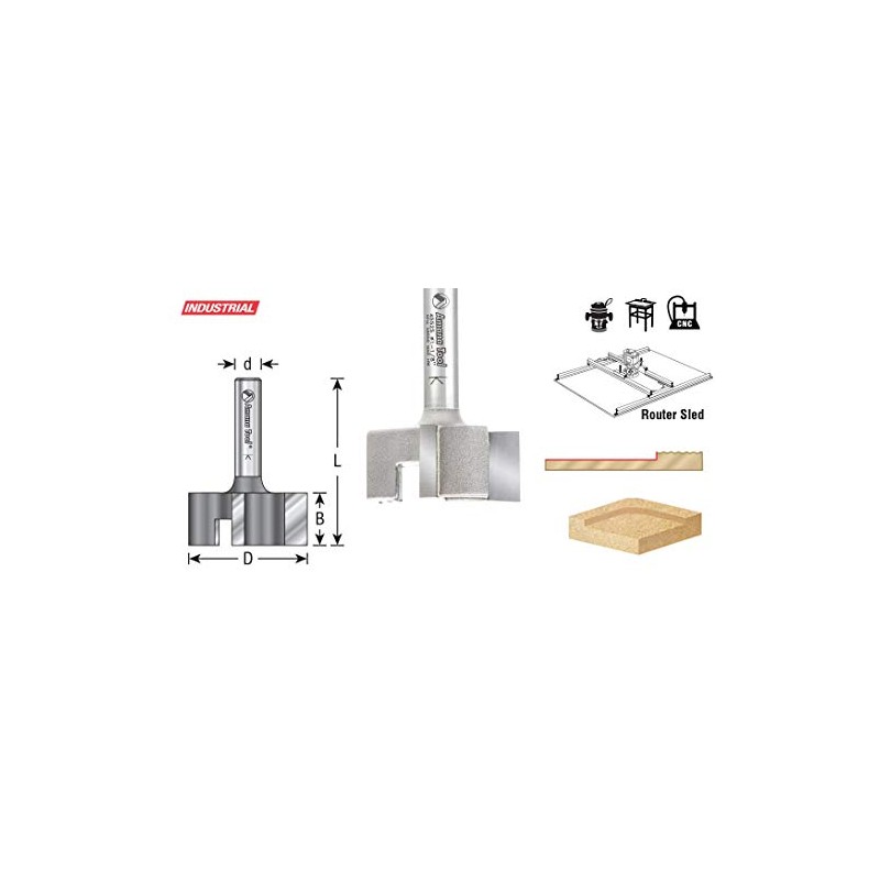 Amana Tool 45522 Carbide Tipped 1 Dia x 1/4 CH
