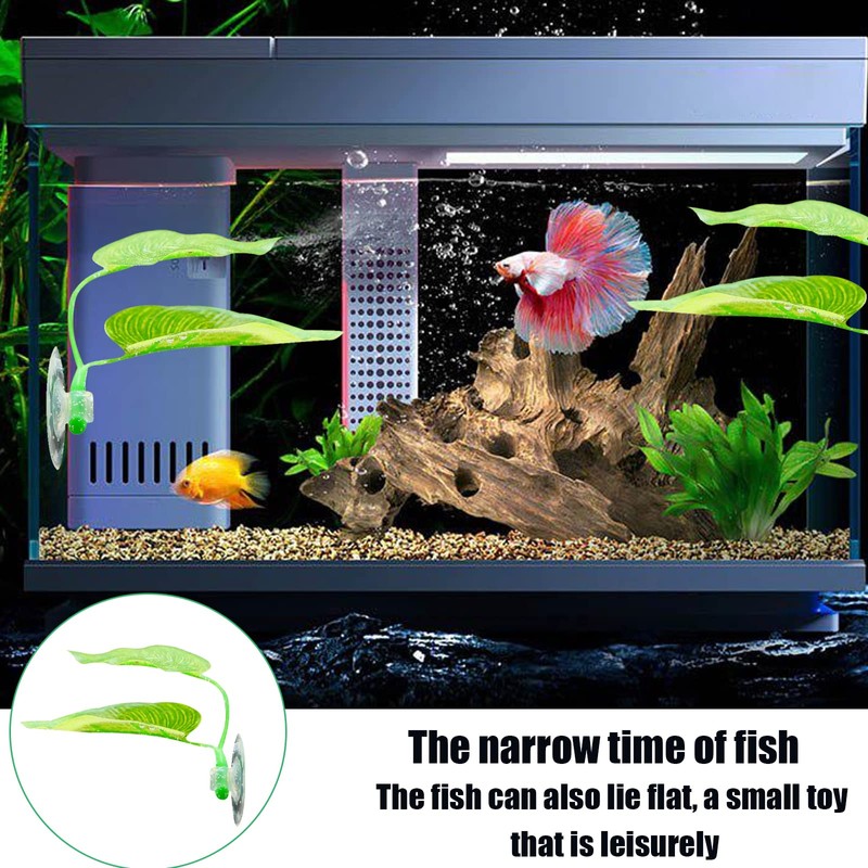 4pcs Betta Fish Leaf Pad, Betta Leaf Hammocks with Suction