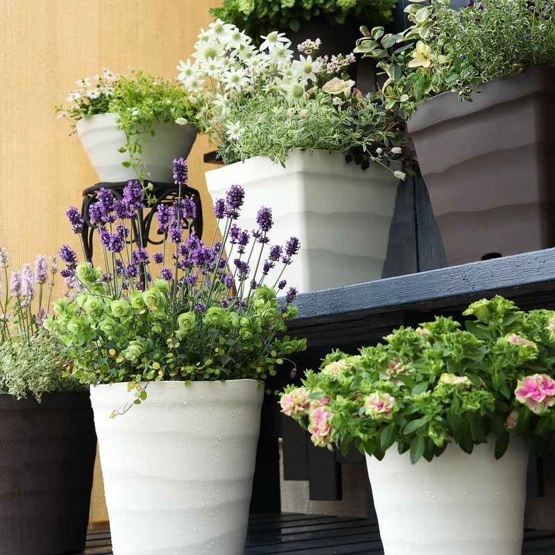 Apple Wear Craft Pot, white, －