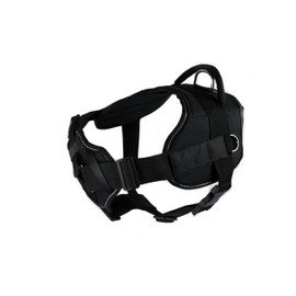 Dean & Tyler Black with Reflective Trim Fun Dog Harness with Padded Chest Piece, Ask to Pet, Medium, Fits Girth Size 28-Inch to 34-Inch