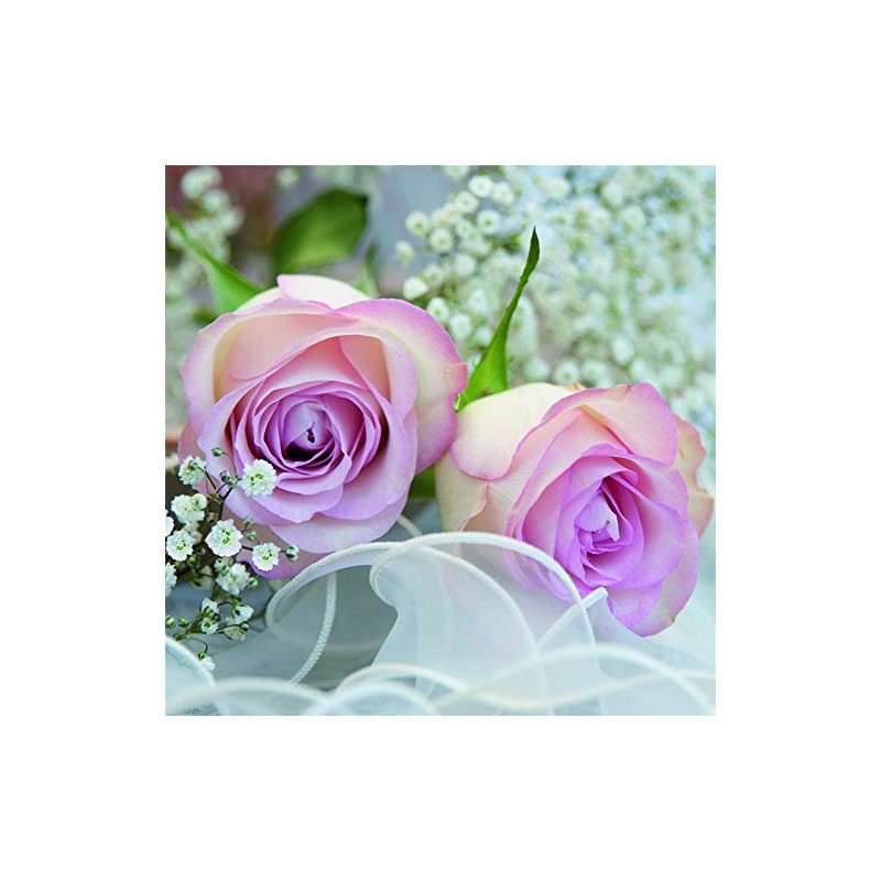 Anniversary House PJ378451 Tiflair Romantic Rose Napkins 3 Ply, Multi-Colour