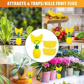 Paddsun 2X Fruit Fly Traps with Sticky Pads  For Plant Indoor Outdoor Yellow Gnat Sticky