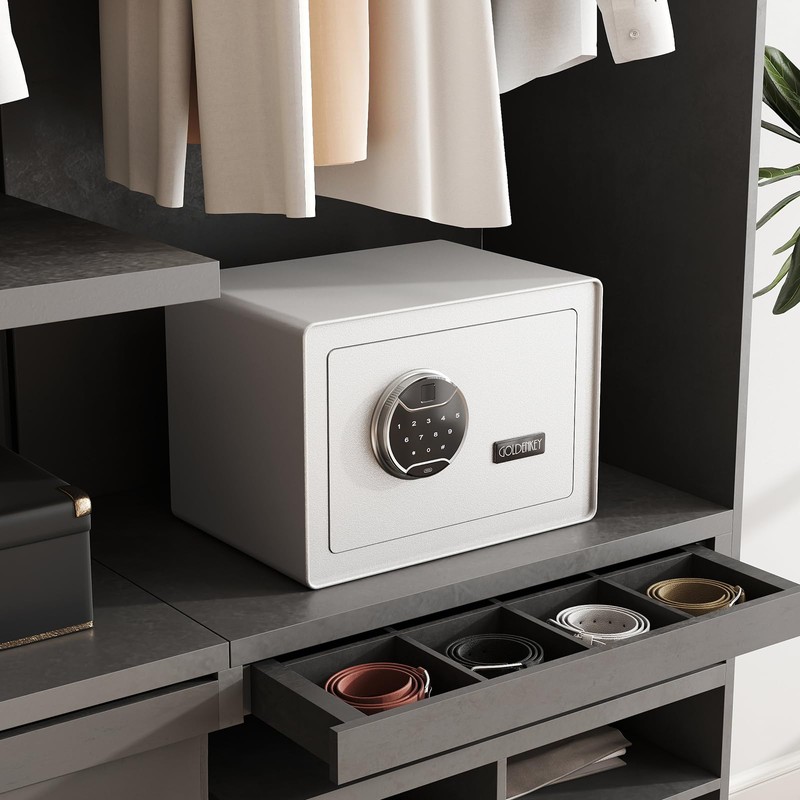 GoldenKey White Fingerprint Safe for Home, 1.2 Cu Ft Biometric