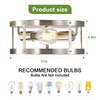 DOXVIEZE 2-Pack Close to Ceiling Lights, Modern Brushed Nickle Semi