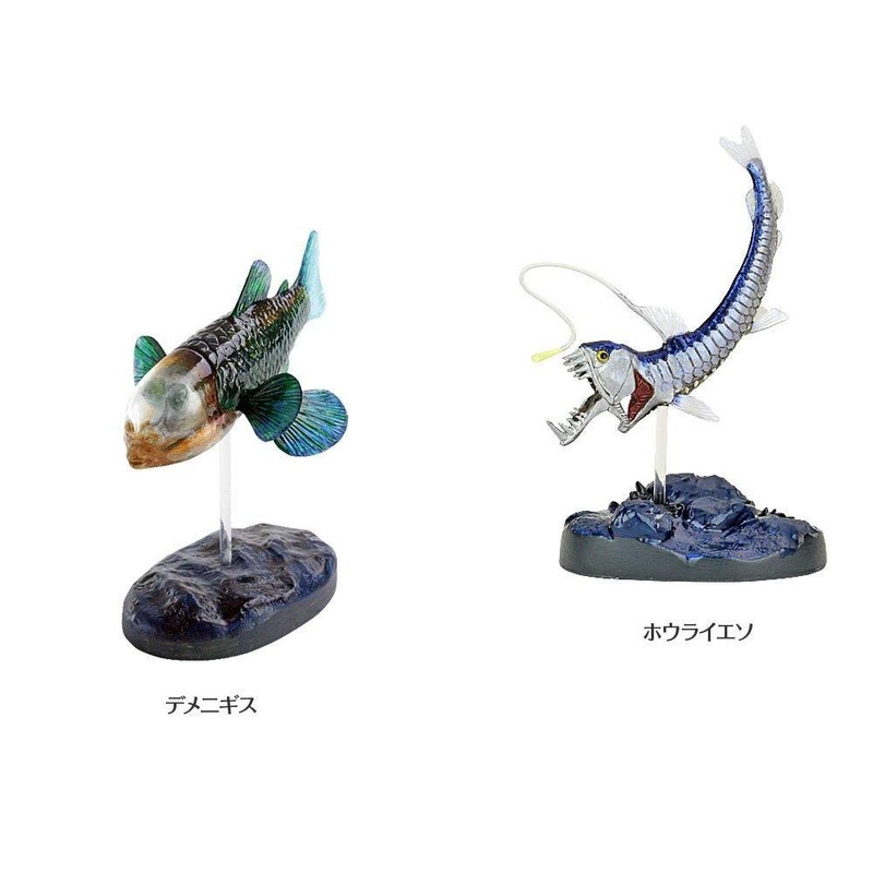 Carolata 3D Illustration Book, Deep Sea Fish Figure, 7 Types