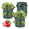 Relaxdays Set of 3 Strawberry Planters with Bottom Holes, 2