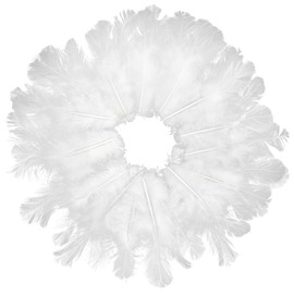 HaiMay 400 Pieces White Rooster Feathers Natural Feathers for DIY Crafts Jewelry,Wedding Home Party Decorations, 2-5 Inches White Craft Feathers