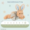 Bearington Baby Bunny Tail Plush Stuffed Animal Bunny with Rattle,