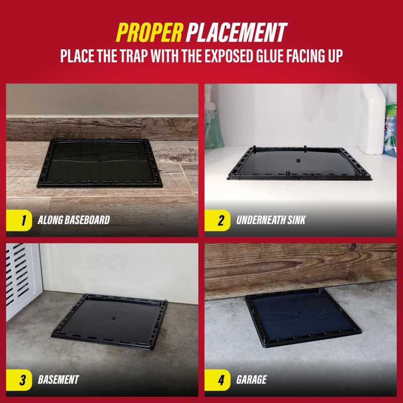 Catchmaster Jumbo Rat & Mouse Glue Traps 6Pk, Large Bulk