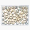 50pcs, Grey Conch Shells, Shell Beads, Bracelet Making, for Bracelet