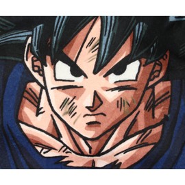 SD Toys SDTDRB22105 Goku Characters in Namek DBZ Fleece Blanket Dragon Ball, Cartoon, Large
