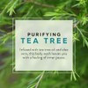 Jason - Gel de Baño Purificante con Árbol de Té