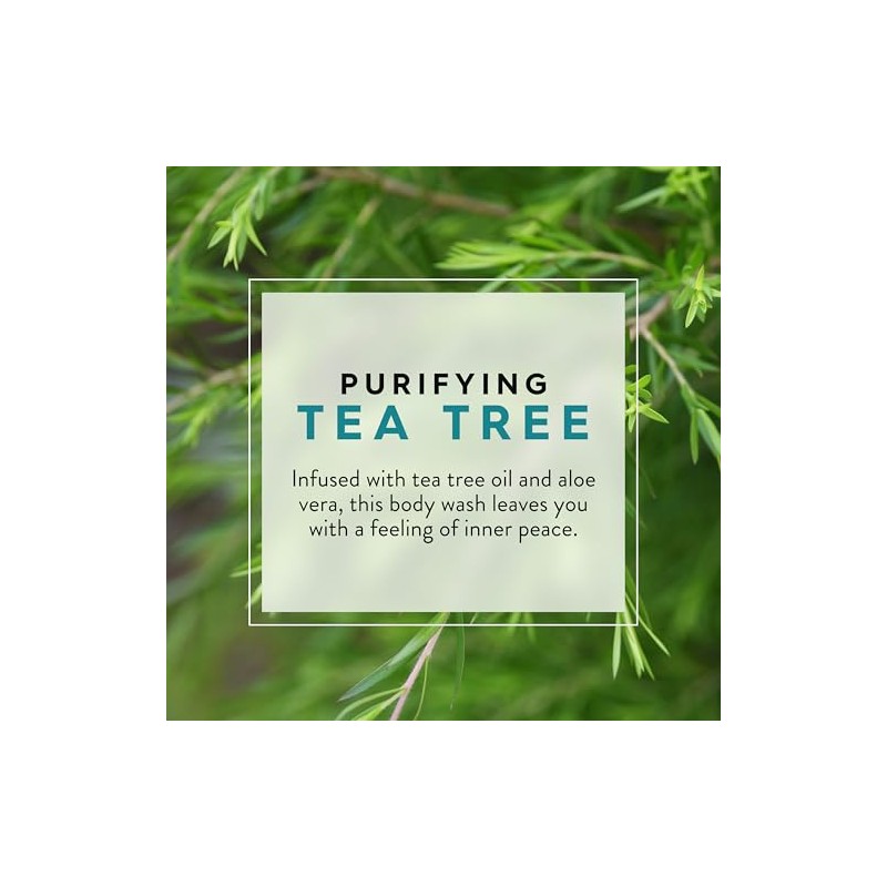 Jason - Gel de Baño Purificante con Árbol de Té