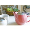 ZERO JAPAN BBN-02 KW Hot beverage Pot for 3 People,