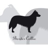 Border Collie Dog Sticker Premium Silhouette Monotone M MK-2