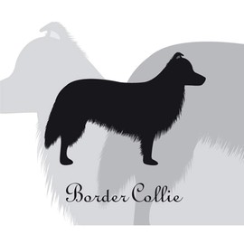 Border Collie Dog Sticker Premium Silhouette Monotone M MK-2