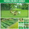 Temporary Fence with Posts, 36" x 50' Plastic Garden Fence
