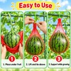 Watermelon Support Net Bags for Vertical Growing – 100-Piece Heavy-Duty