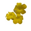Small Yellow Foam Plumeria Flower Hair Clips - Set of