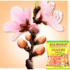 HARIBO Gummi Candy, Peaches, 5 oz. Bag (Pack of 12)
