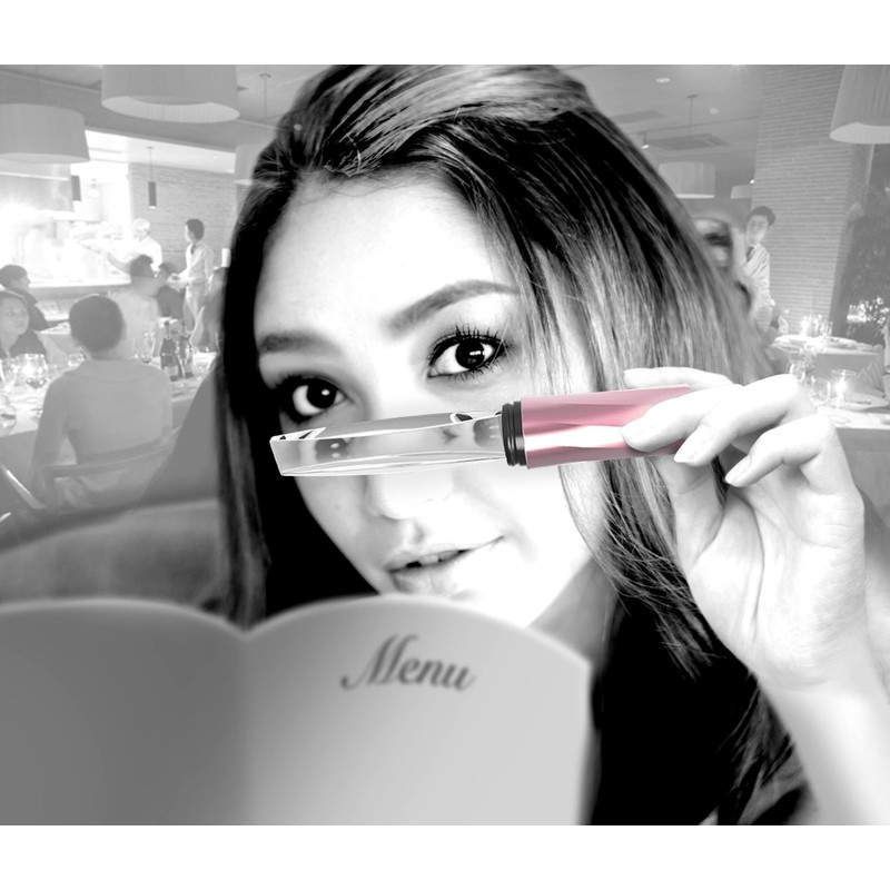 サンスター文具 スティッキールルーペLK ブラック×シルバー S4060717