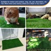 GLOBREEN Dogs Grass Pee Pad for Puppy Potty Training, Pet