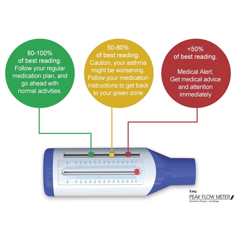 Easy Peak Flow Meter for Adult to Monitor Lung Function