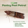 BugMD Pantry Pest Patrol (6 Count) - Moth Traps for