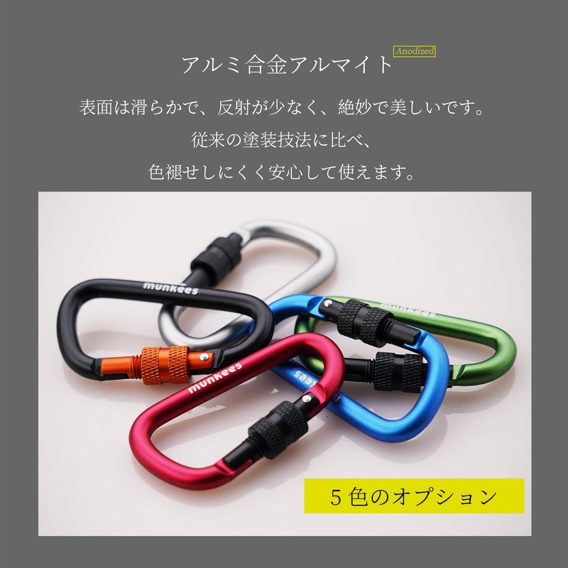 [MUNKEES] D-Shaped Carabiner with Lock, Keychain, Backpack Buckle, 2 Pcs