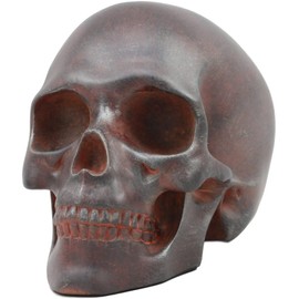 Ebros Gift Gothic Rogue Army Soldier Rusted Skull Home Decor Figurine 7" Long Military Themed Skeleton Cranium Ossuary Macabre Sculpture