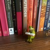 XRI XURUOYI Miniature Small Frog Reading Book,Rabbit Reading Book with