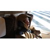 Bracer Travel Pillow - Real Head and Neck Support for