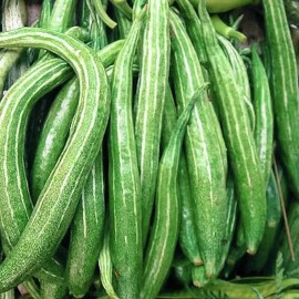 Inherited seeds 10 Snake Gourd Seeds Heirloom, Organic, Non-GMO, Grown in USA