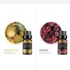 Laguna Moon 10 Essential Oils Fragrance Gift Set Exp 12/27
