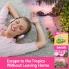 OdoBan OdoFresh Carpet and Room Deodorizer Powder for Home Smells