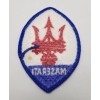 Retro Maserati Logo Auto Embroidered Patch Iron Sew On Vintage
