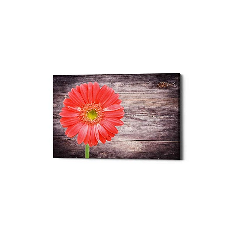 Epic Graffiti 'Vitamin C' Canvas Wall Art, 40"x26"